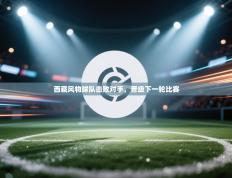 西藏风物球队击败对手，晋级下一轮比赛