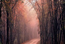 阿贾克斯主场力克莱比亚，挺进洲际杯四强