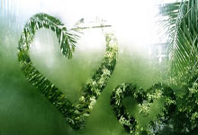 阿贾克斯主场力克莱比亚，挺进洲际杯四强