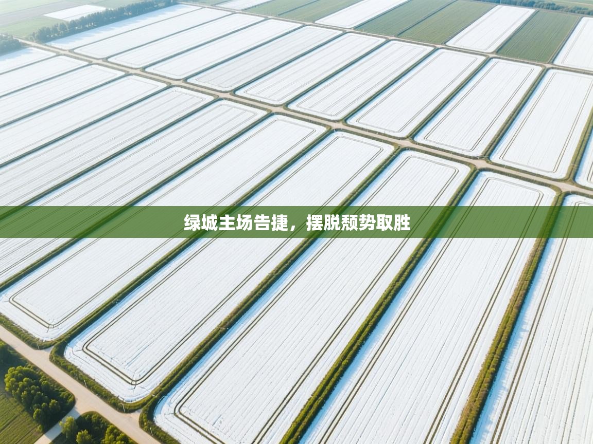 绿城主场告捷，摆脱颓势取胜  第2张