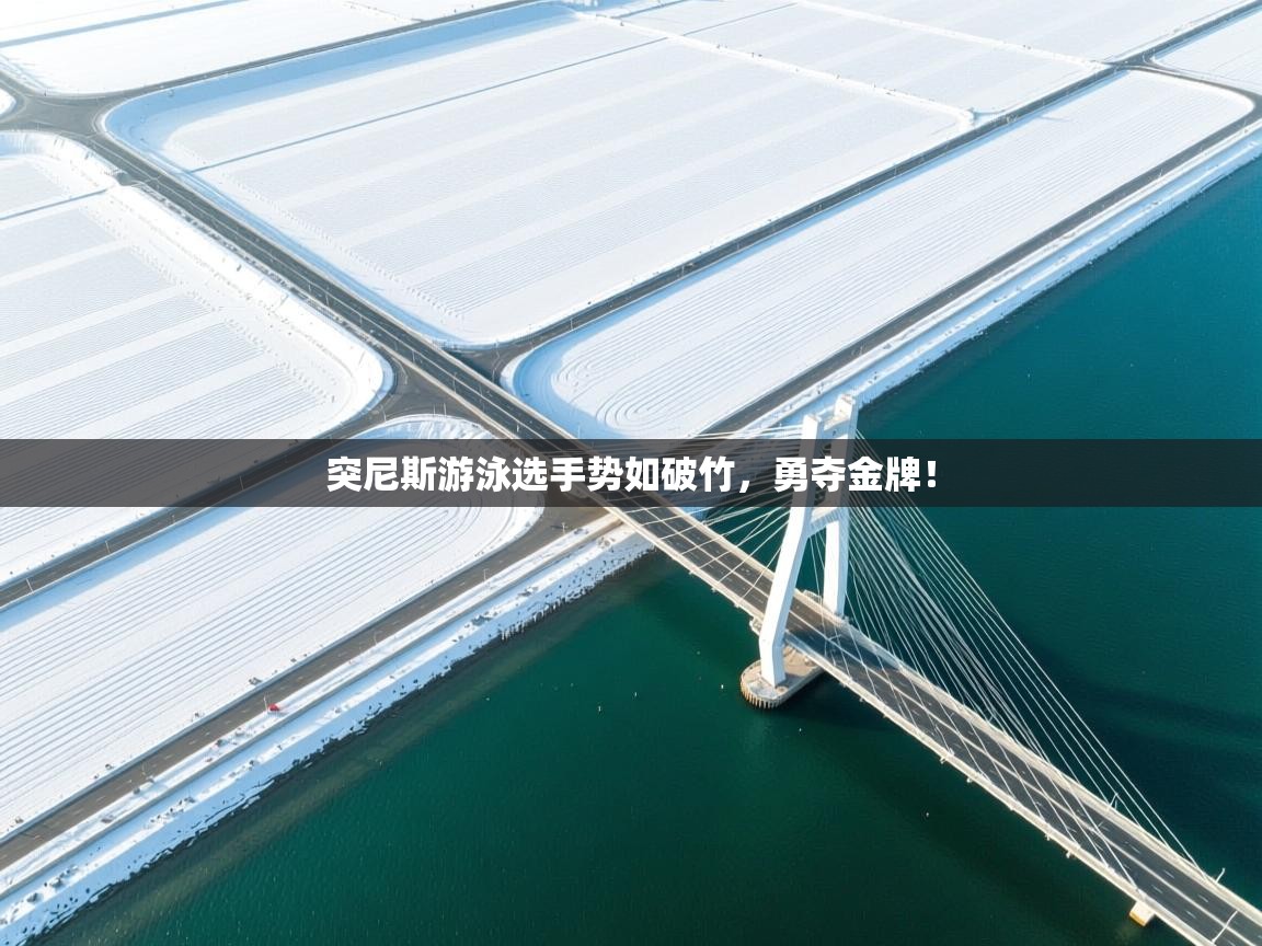 突尼斯游泳选手势如破竹，勇夺金牌！  第1张