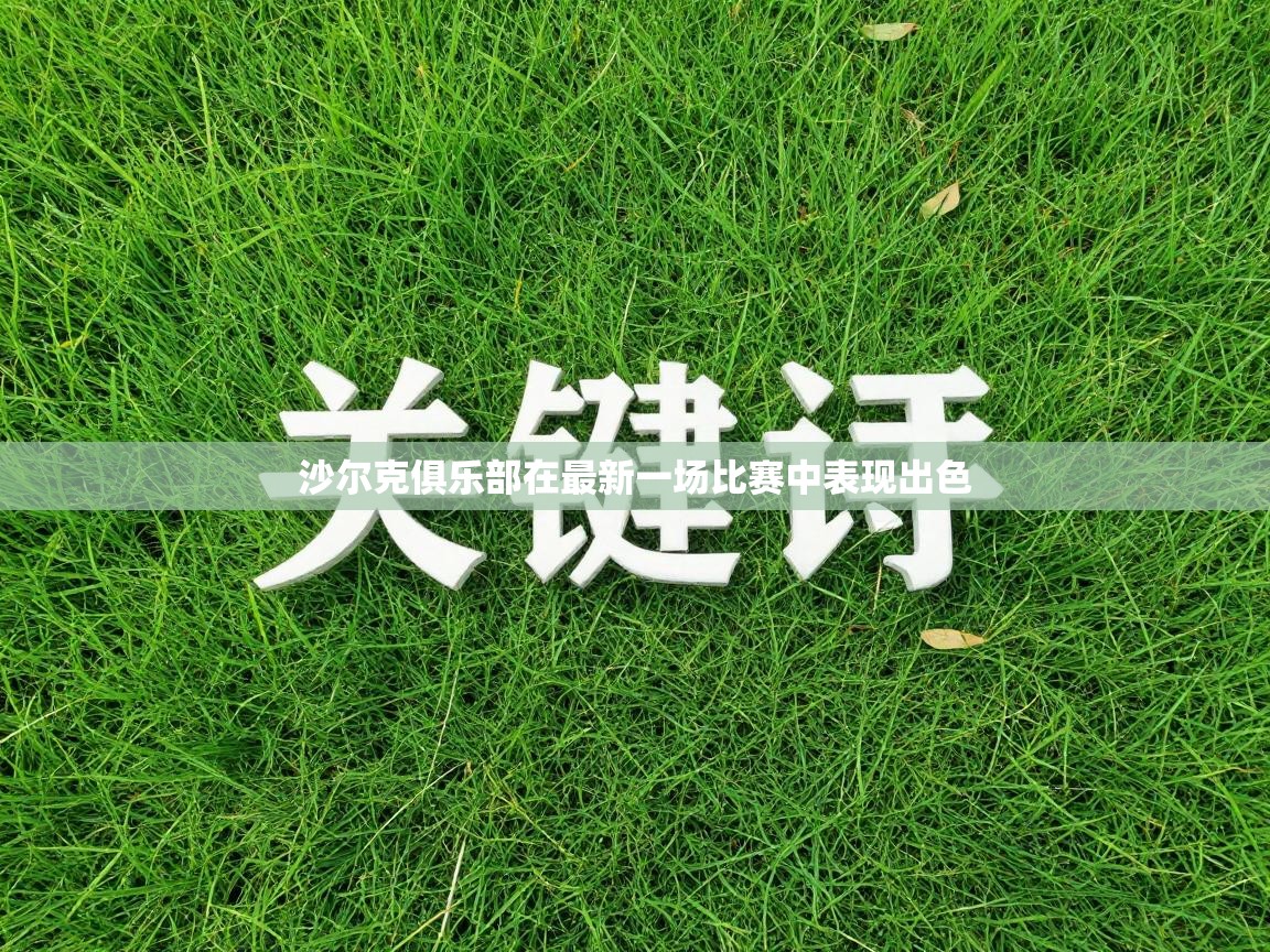 沙尔克俱乐部在最新一场比赛中表现出色 第2张